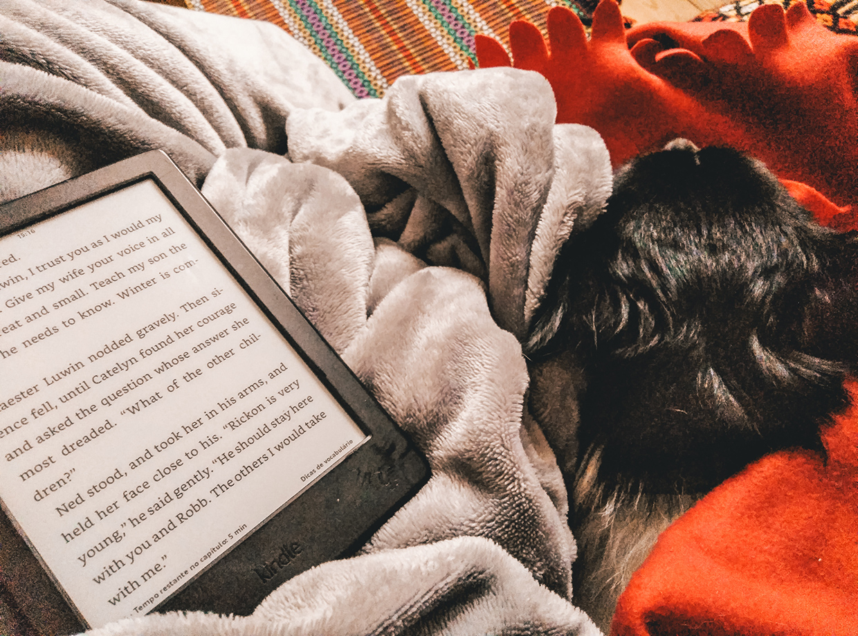 100 sugestões de livros para o Natal