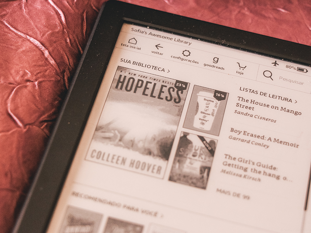 como organizo o Kindle