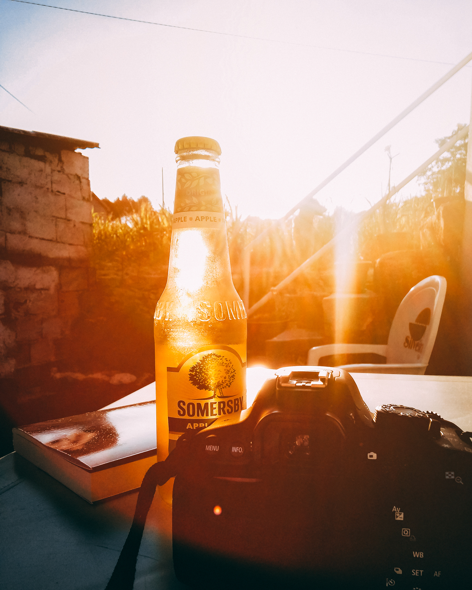 Verão em livros + playlist