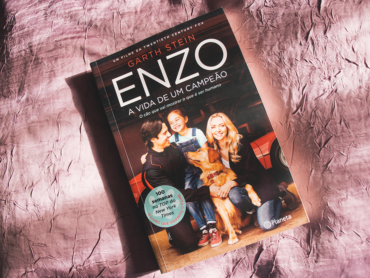 Enzo - Garth Stein