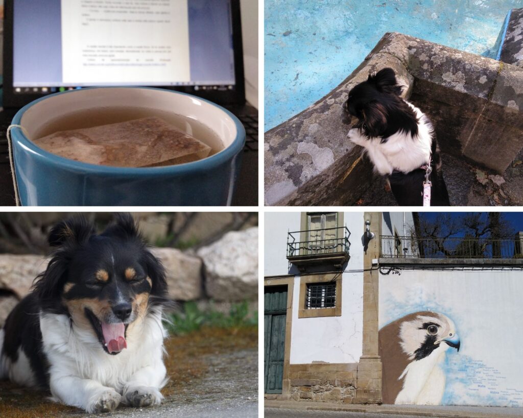 março 2019