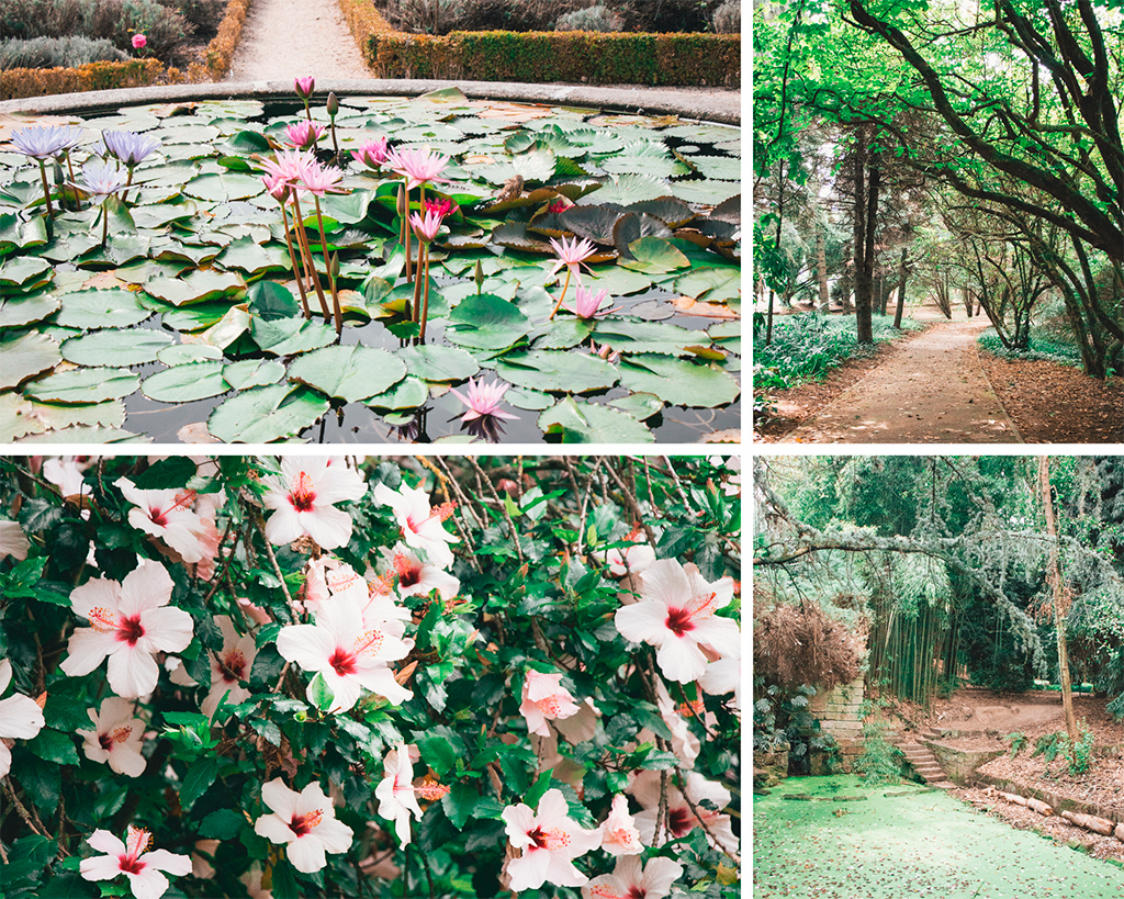 Jardim Botânico Porto