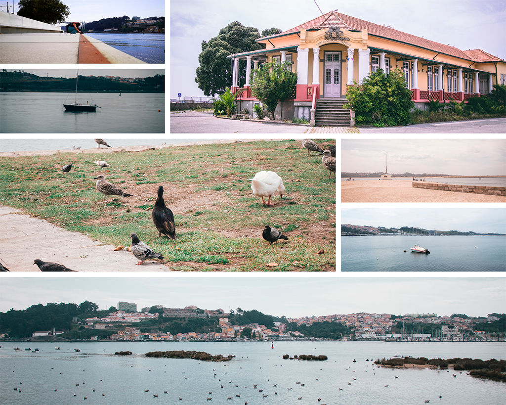 Passeio Alegre Porto