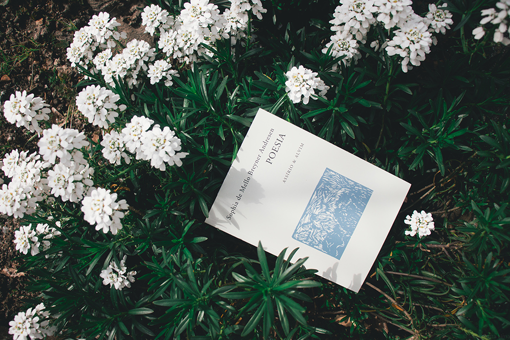 poesia sophia de mello breyner andresen