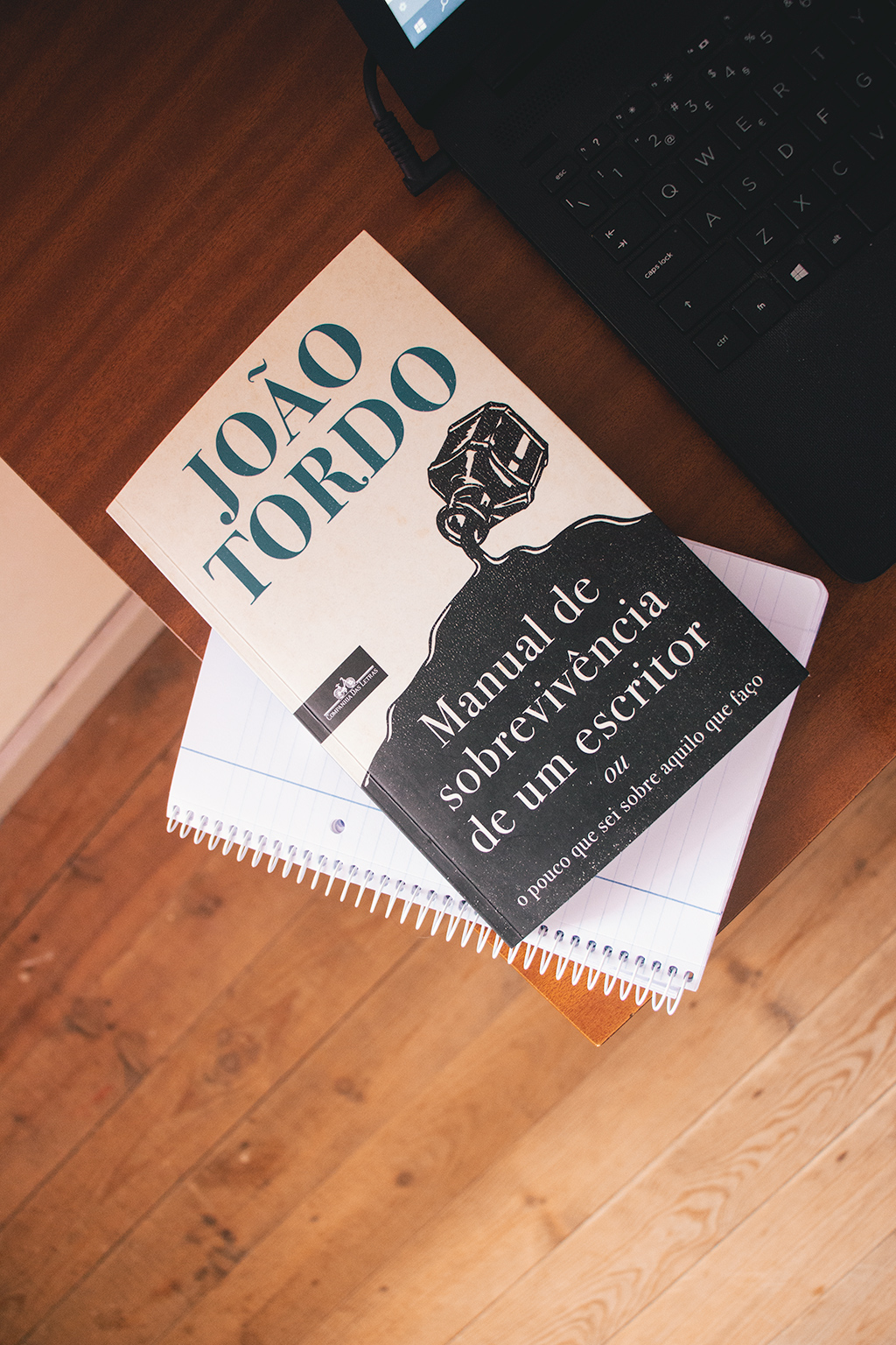 manual de sobrevivência do escritor joão tordo