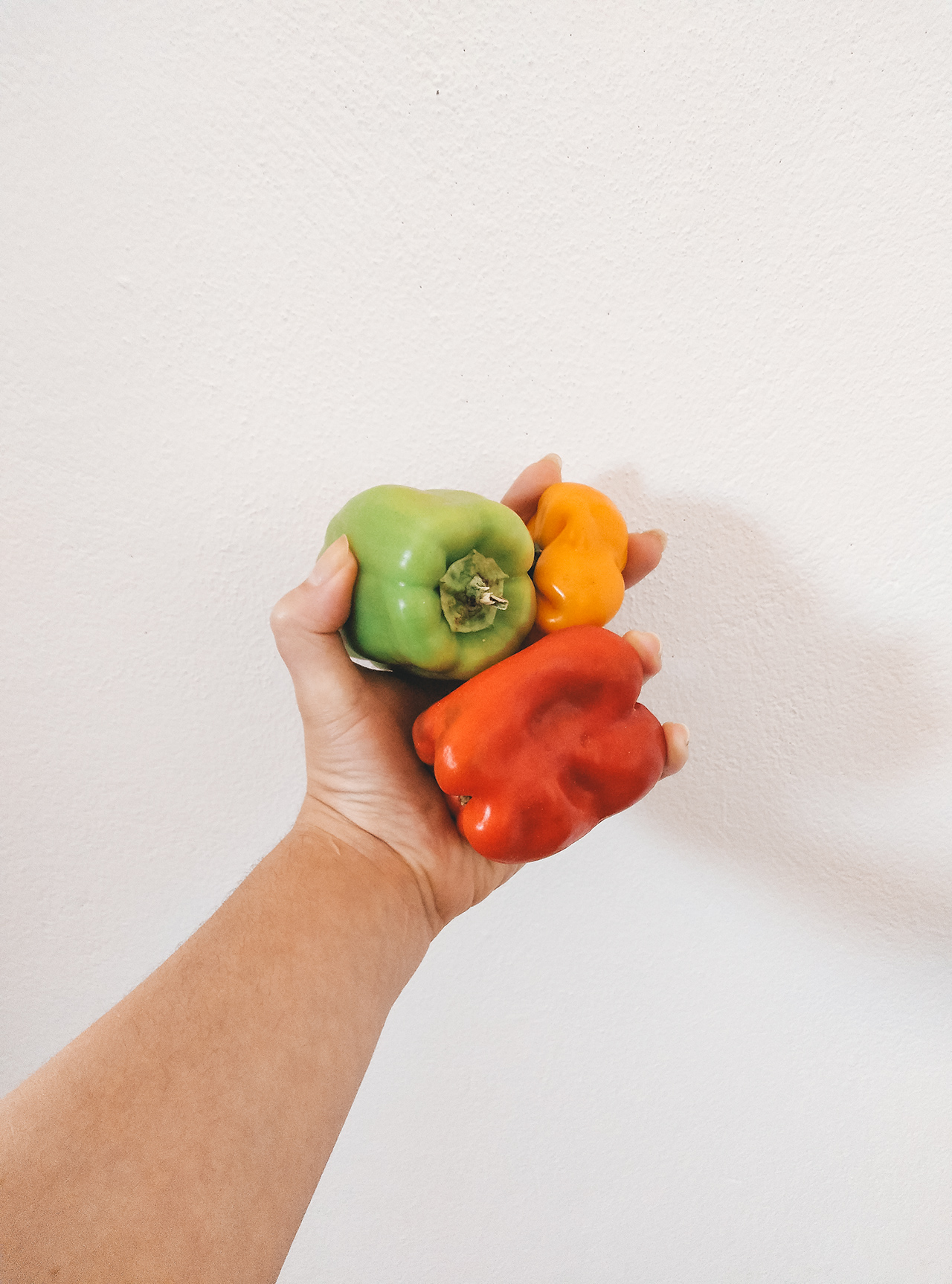 nutrição para todos