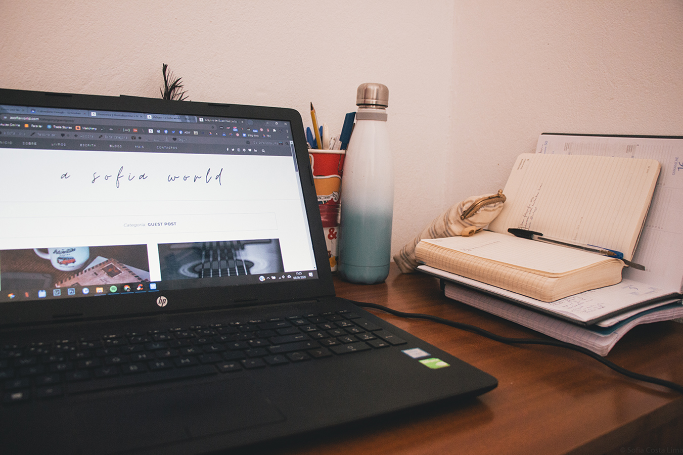 guest posts