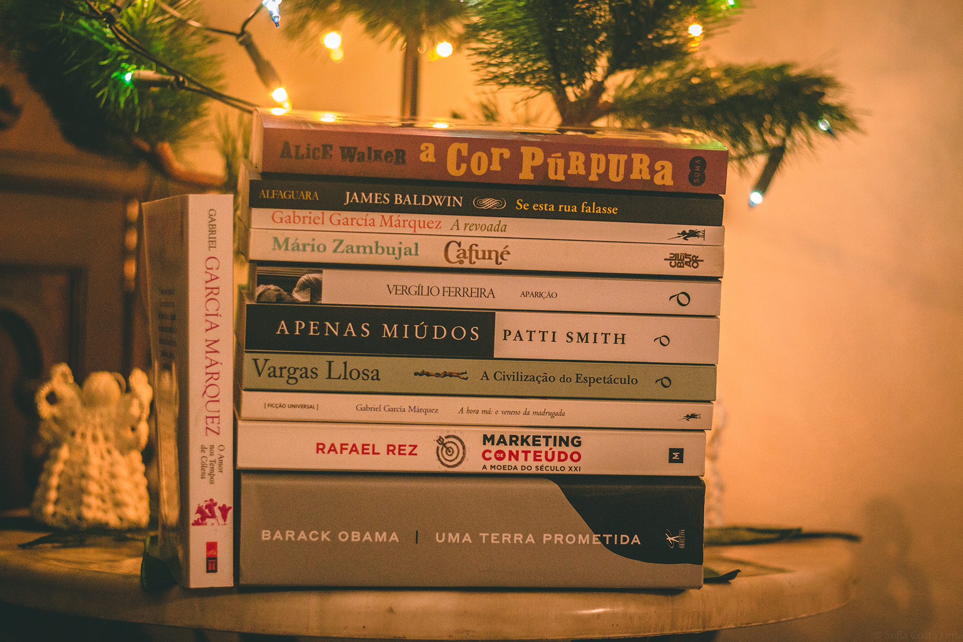livros para 2021