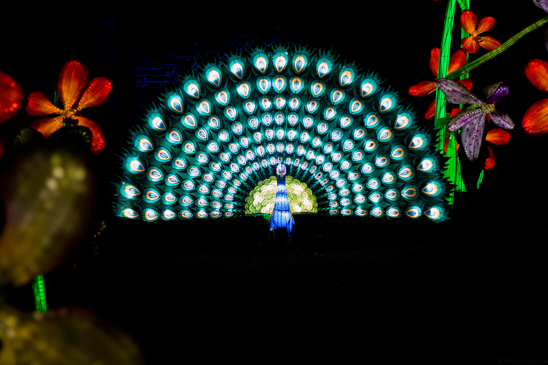 magical garden porto