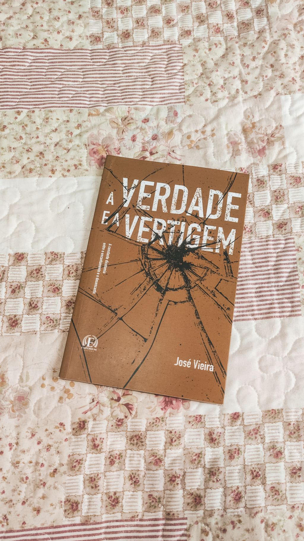 a verdade e a vertigem josé vieira