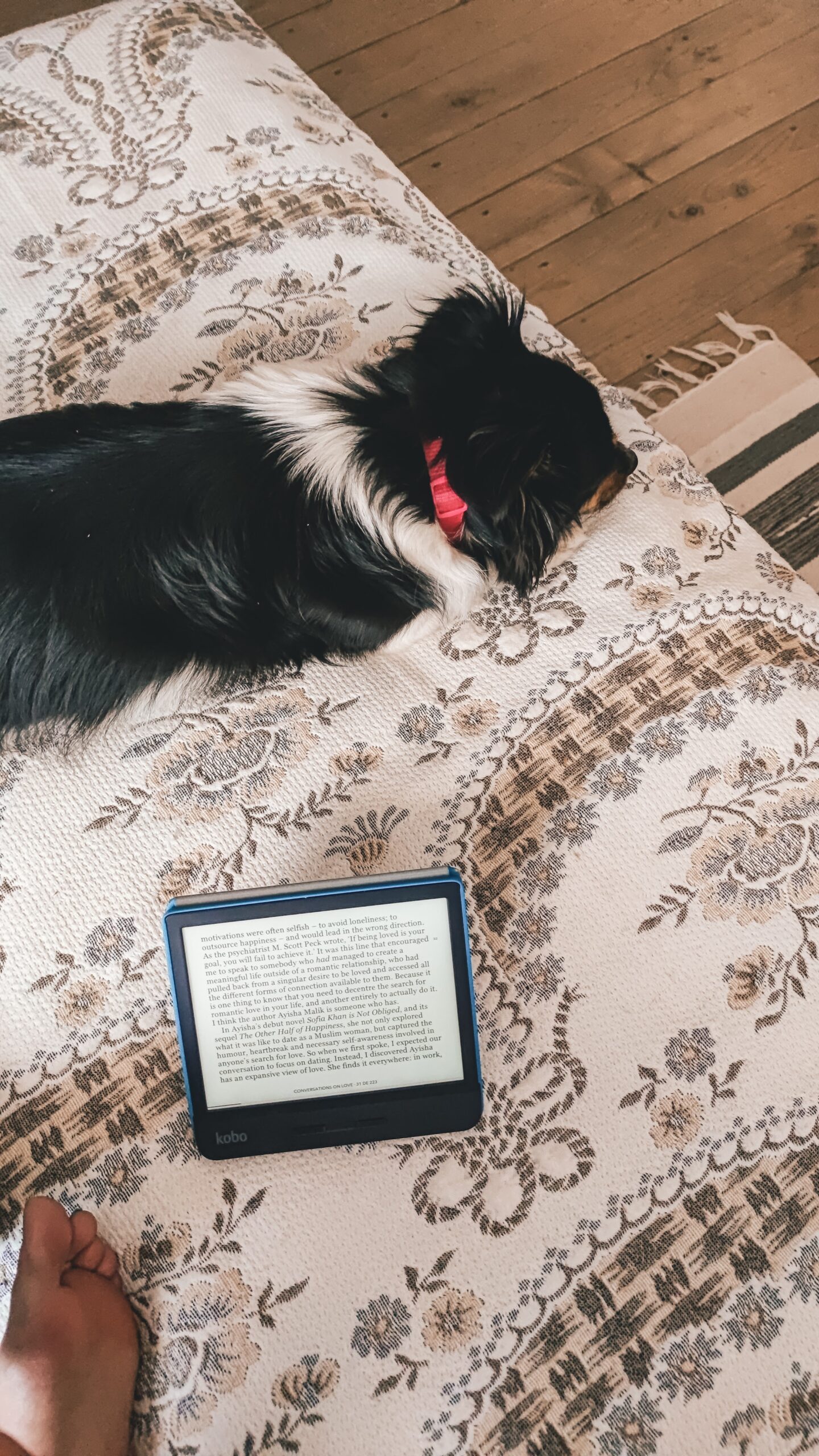 kobo libra h20 review