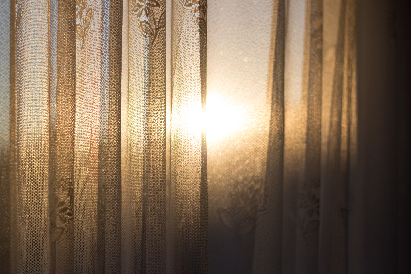 por-do-sol-50mm-asofiaworld-daylight
