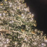 natal-2023-asofiaworld-daylight