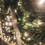 natal maia