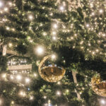 natal maia