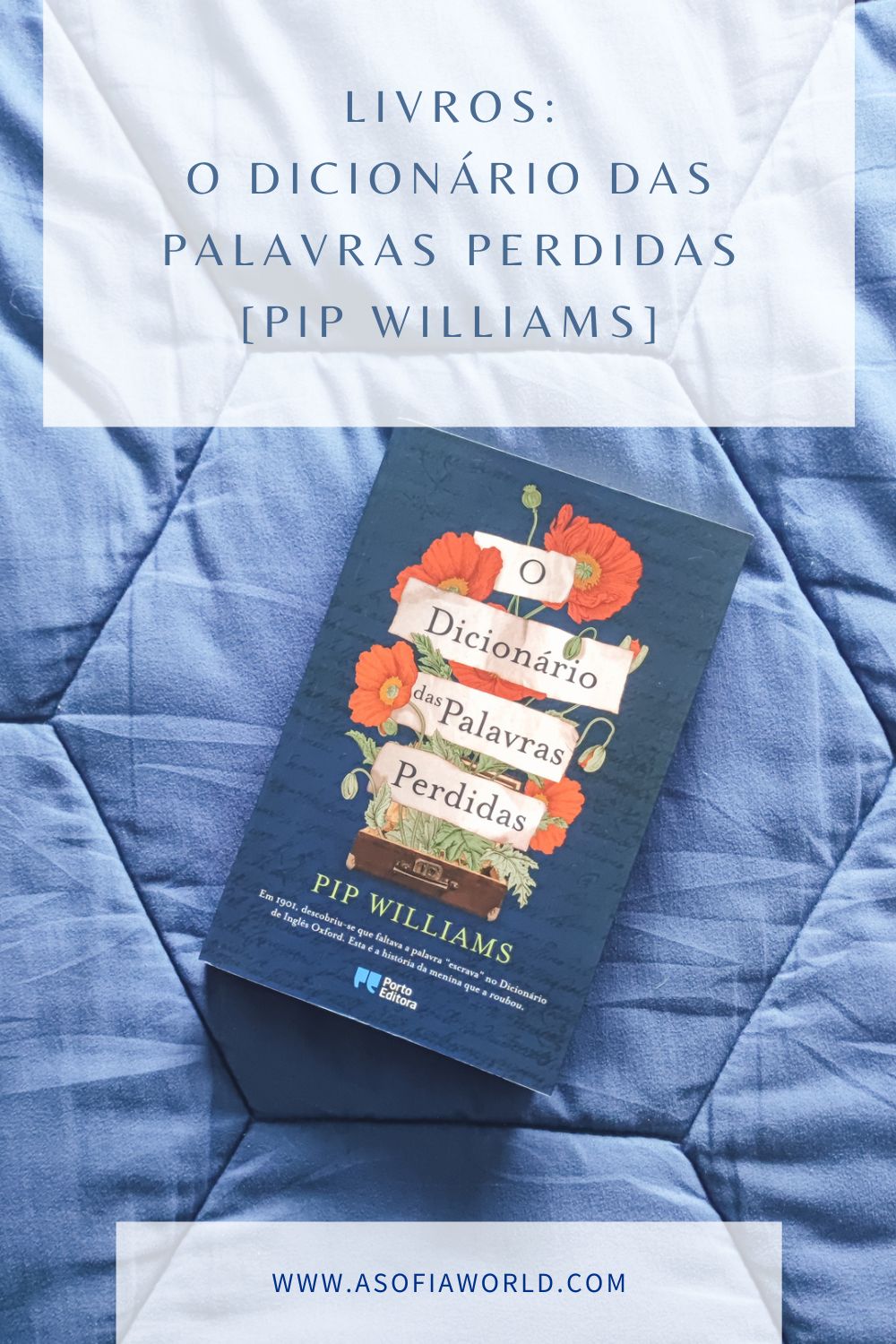 o dicionário das palavras perdidas pip williams