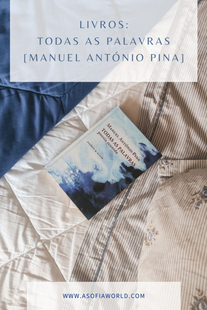 todas as palavras manuel antónio pina
