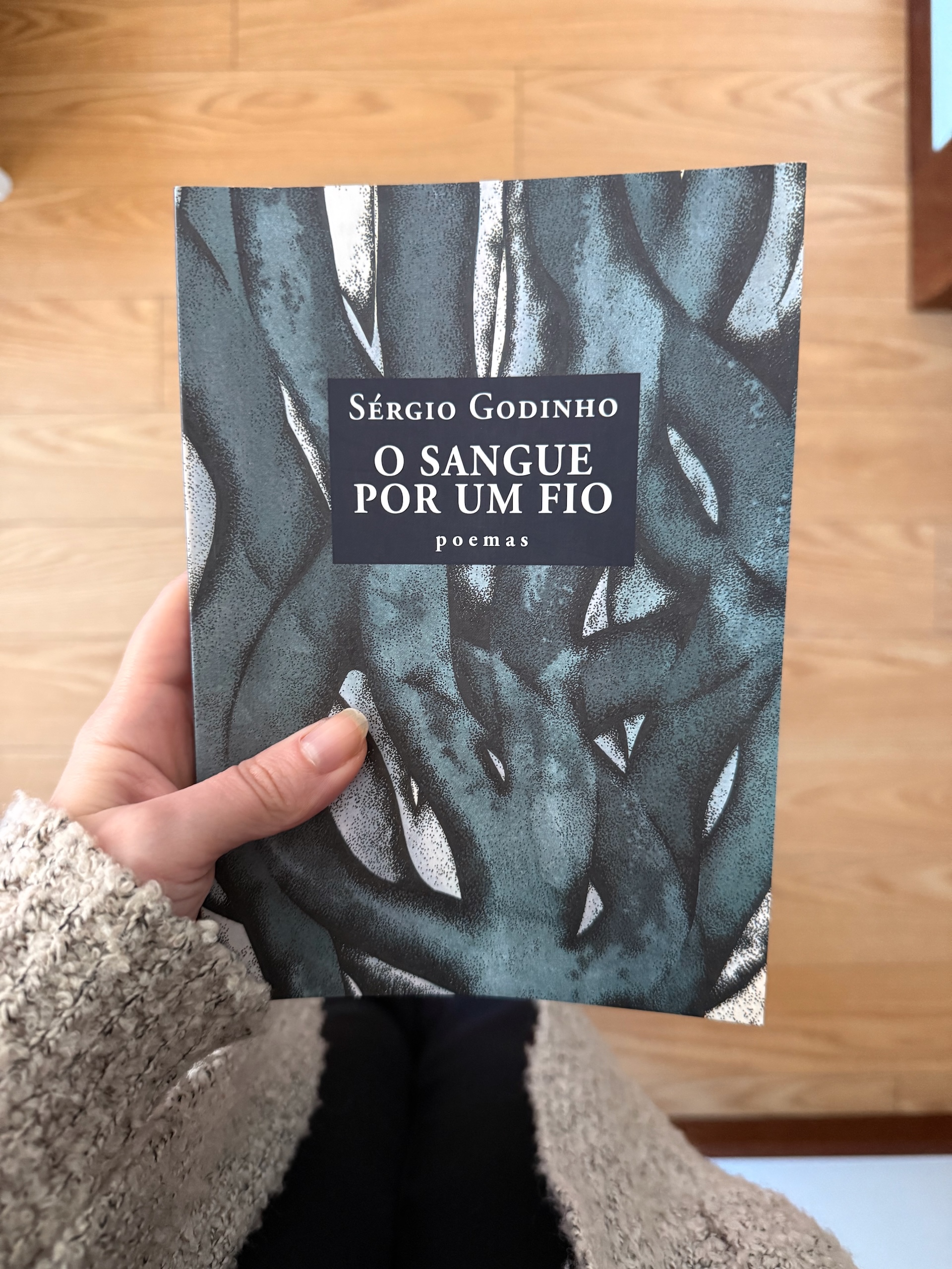 o sangue por um fio Sérgio Godinho