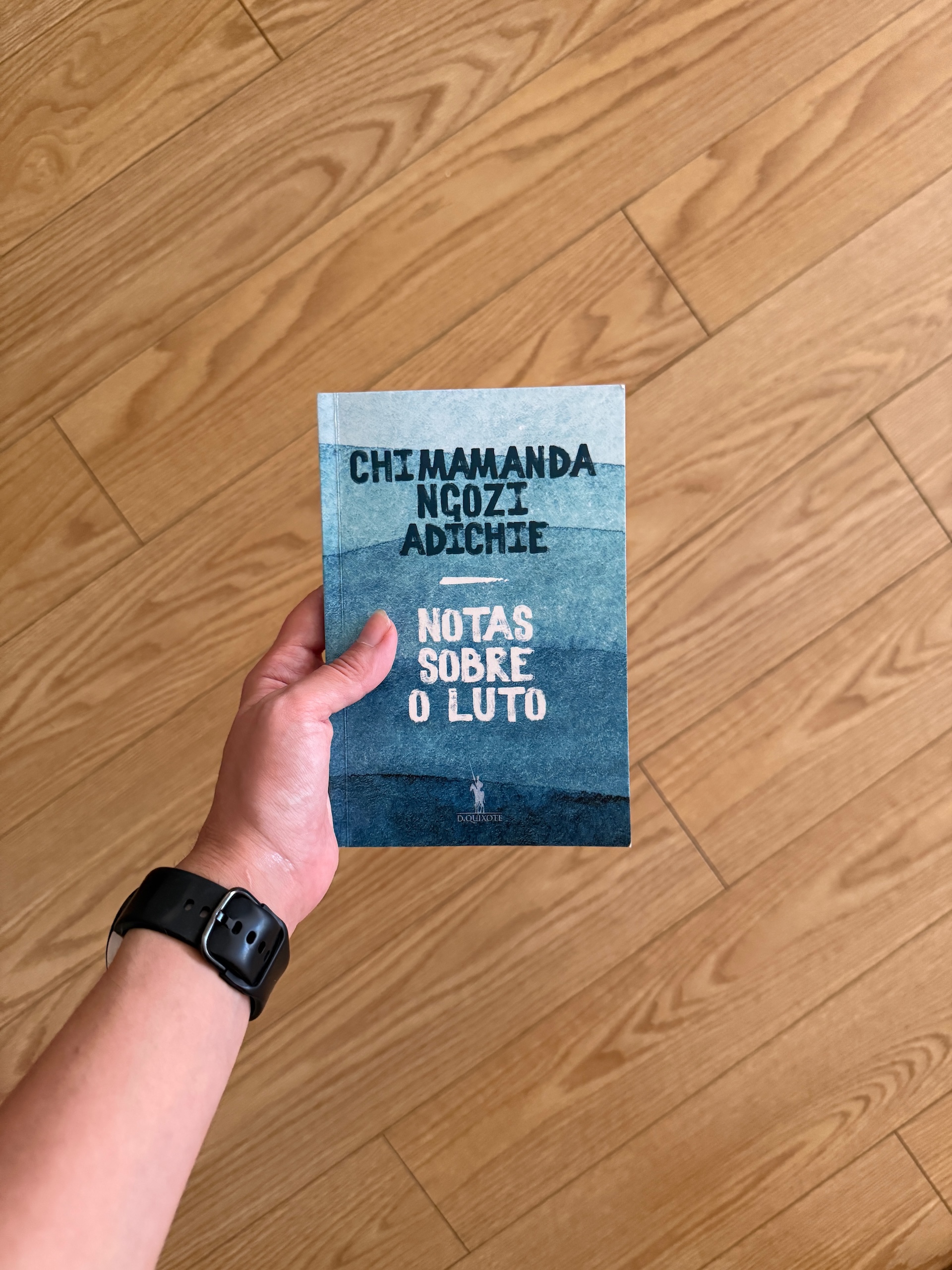 notas sobre o luto chimamanda ngozi adichie