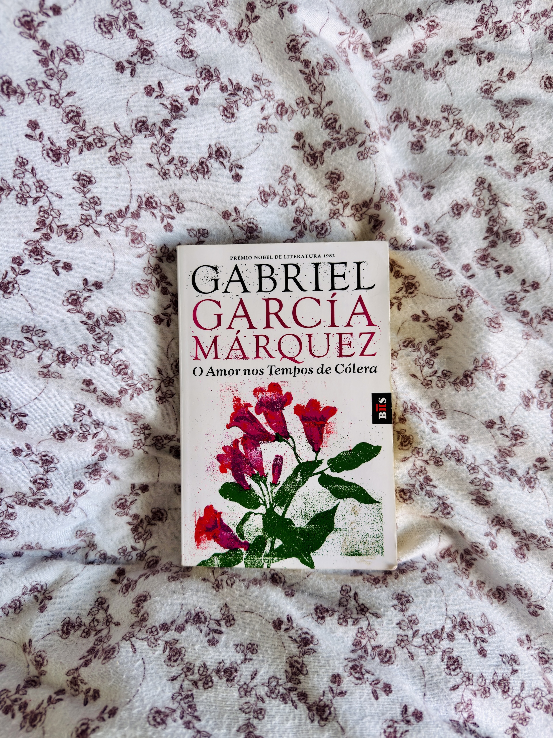 o amor nos tempos de cólera Gabriel garcía márquez