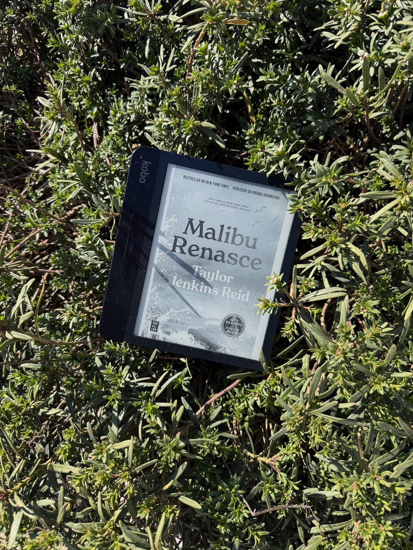 malibu renasce taylor jenkins reid