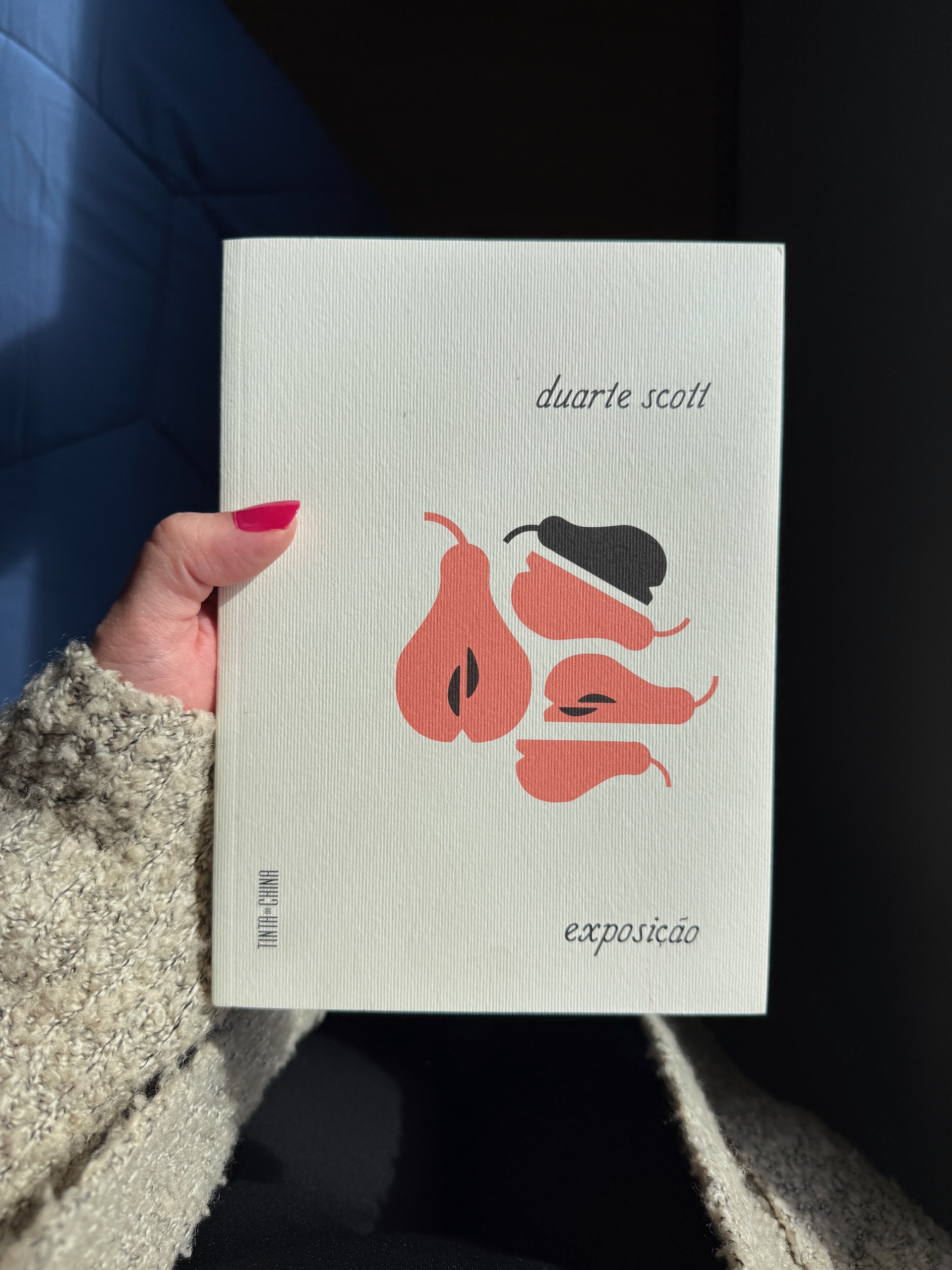 exposição duarte scott