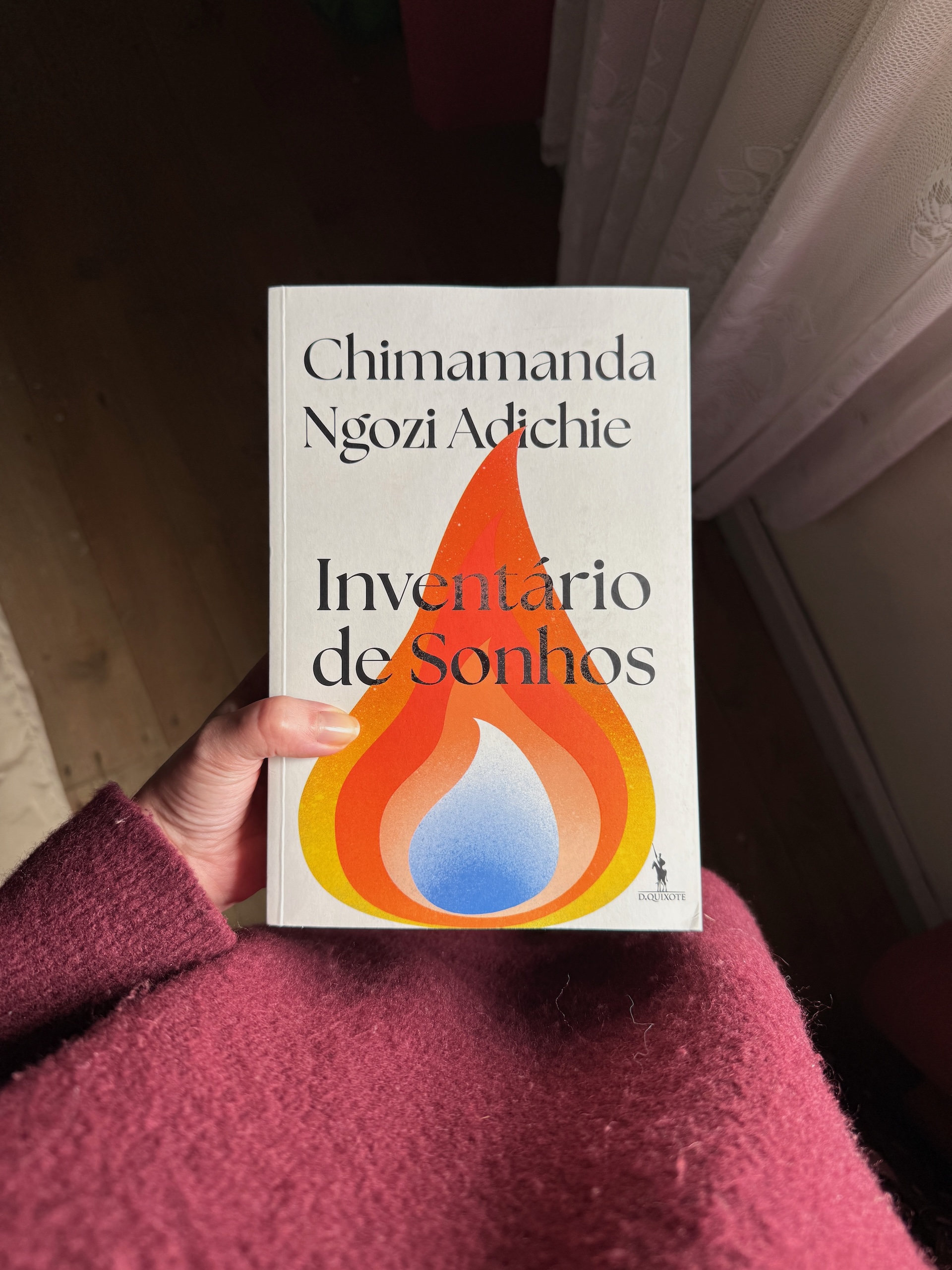 inventário de sonhos chimamanda ngozi adichie